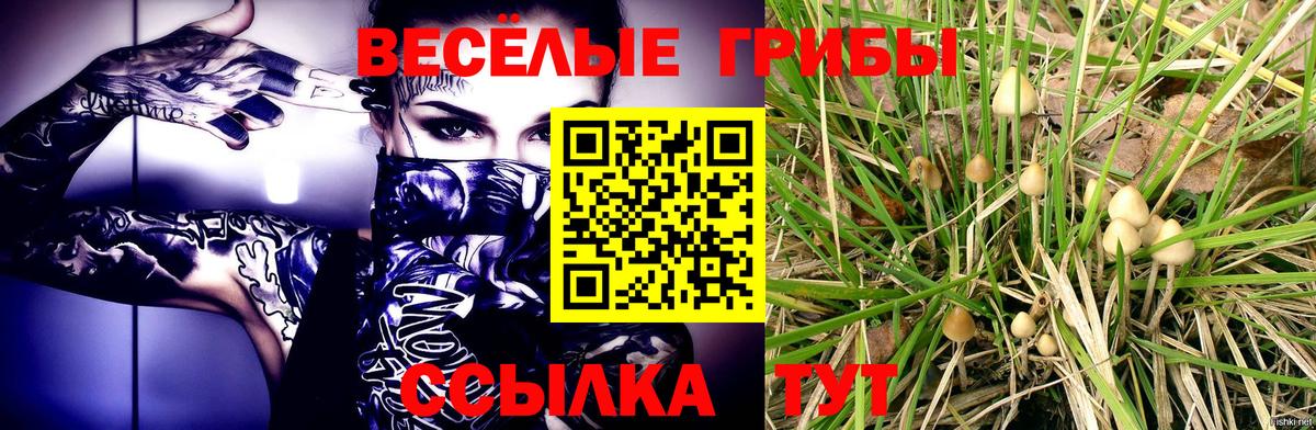 Псилоцибиновые грибы GOLDEN TEACHER Люберцы